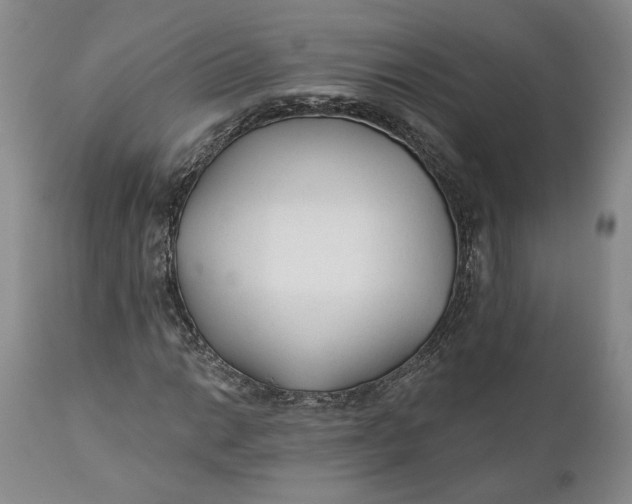 X0000110921014200907021454