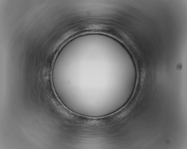 X0000110921017200907021454