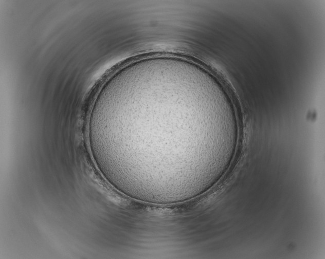 X0000110921019200907021454
