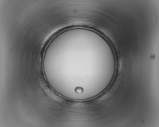 X0000110921021200907021454