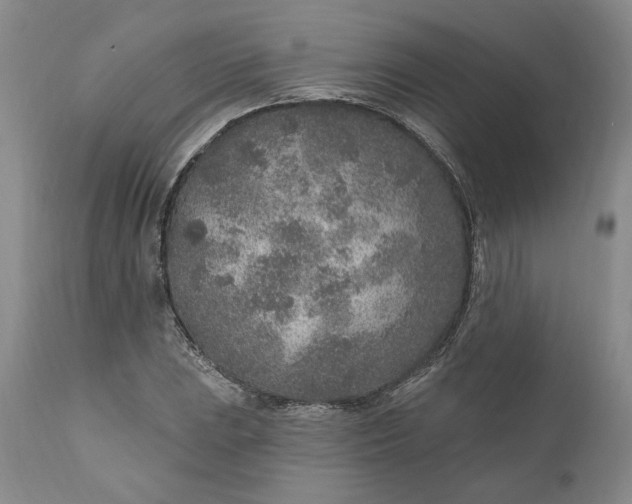 X0000110921023200907021454