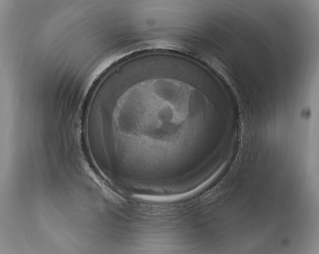 X0000110921024200907021454