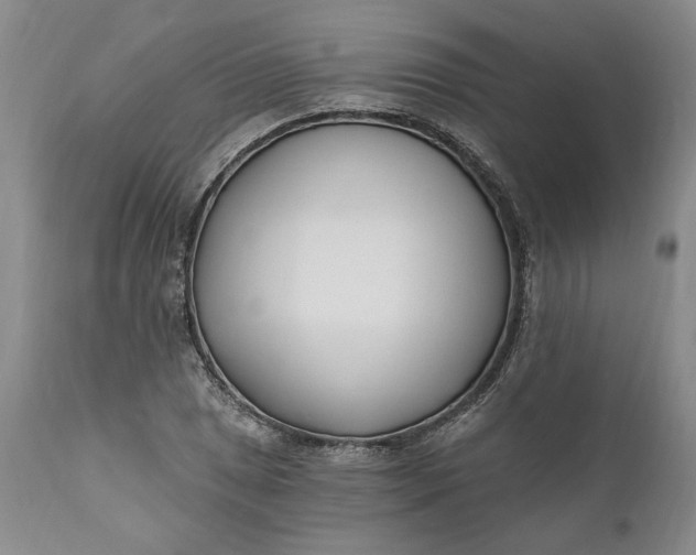 X0000110921025200907021454