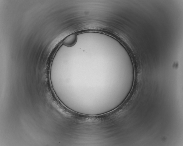 X0000110921026200907021454