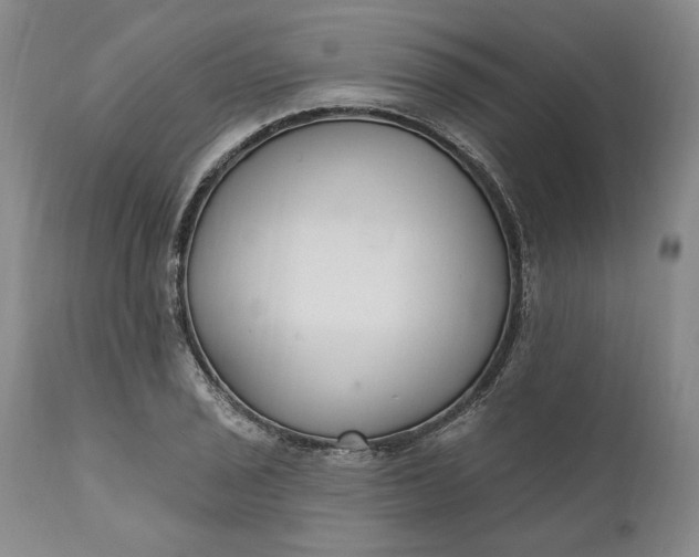 X0000110921029200907021454