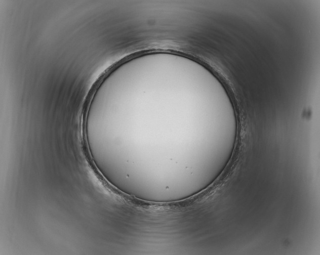 X0000110921032200907021454