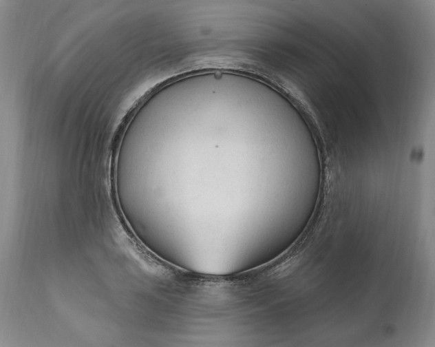 X0000110921035200907021454
