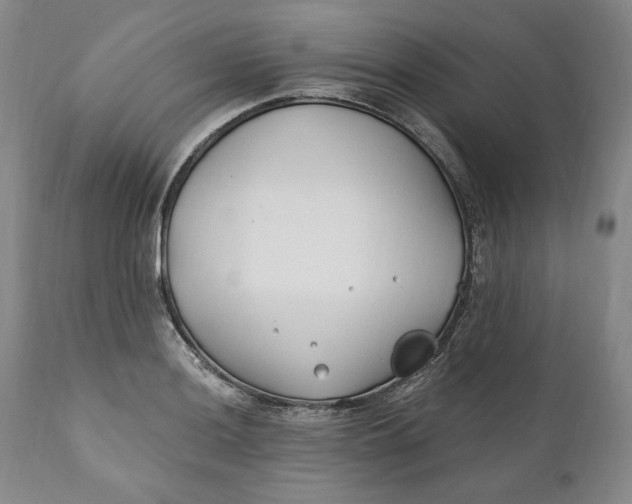X0000110921036200907021454