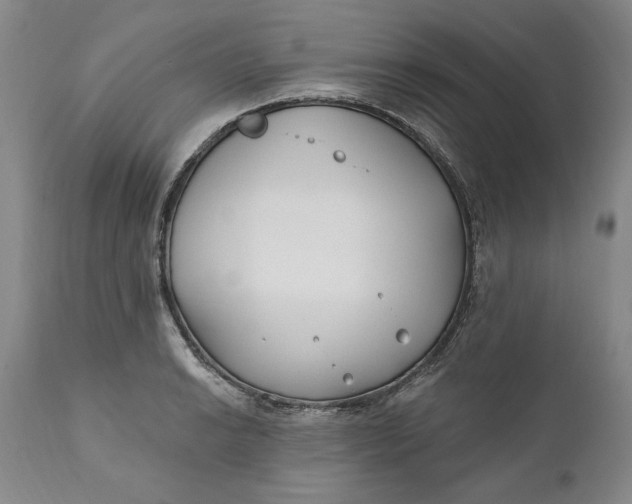 X0000110921038200907021454