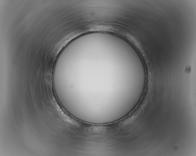 X0000110921041200907021454
