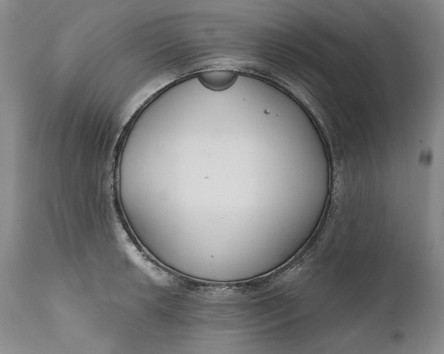 X0000110921042200907021454