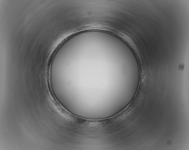 X0000110921043200907021454