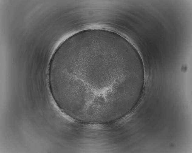 X0000110921045200907021454