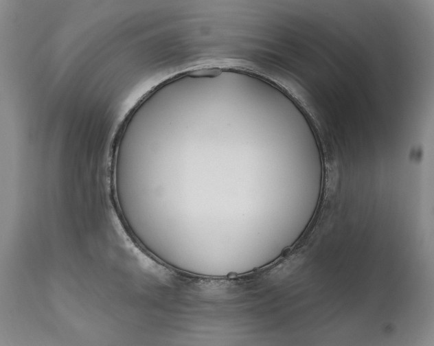 X0000110921046200907021454