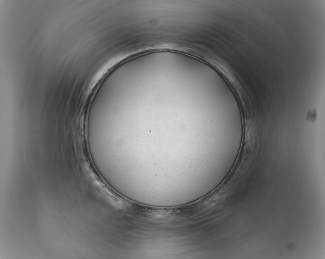 X0000110921048200907021454