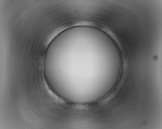 X0000110921049200907021454