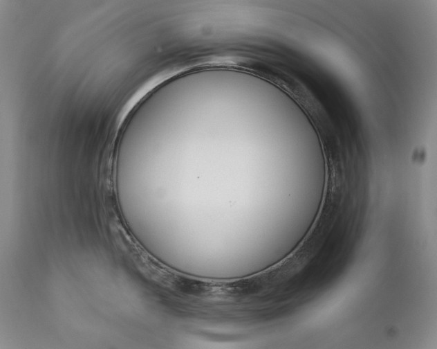 X0000110921052200907021454
