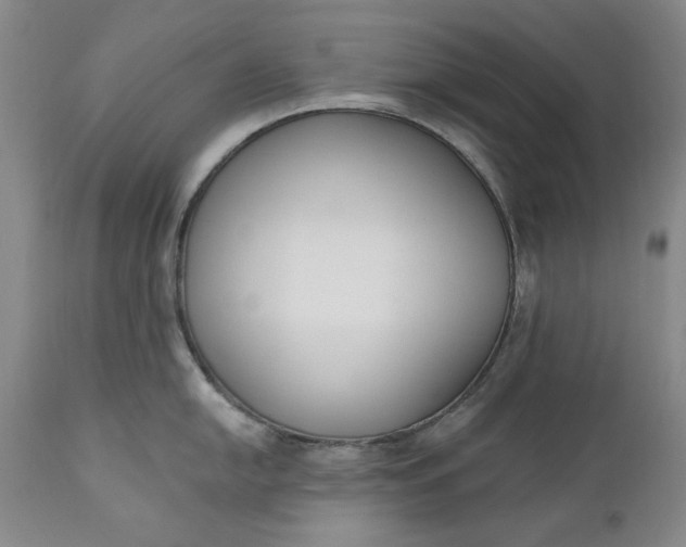 X0000110921054200907021454