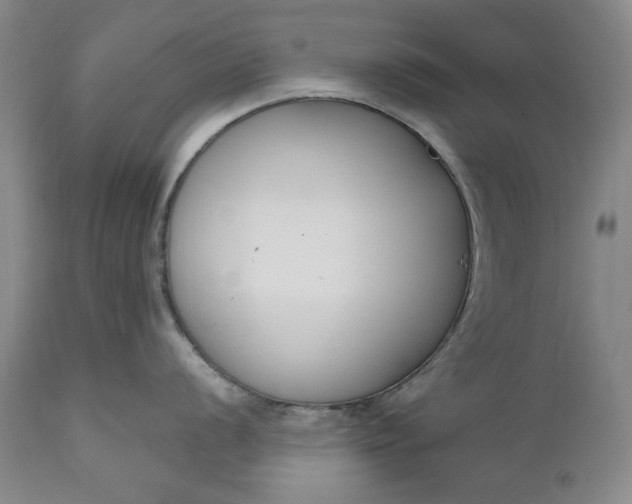 X0000110921056200907021454