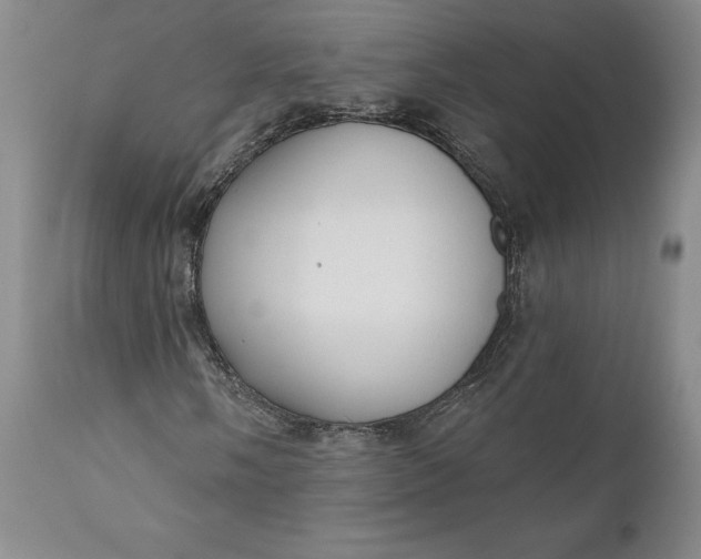 X0000110921058200907021454