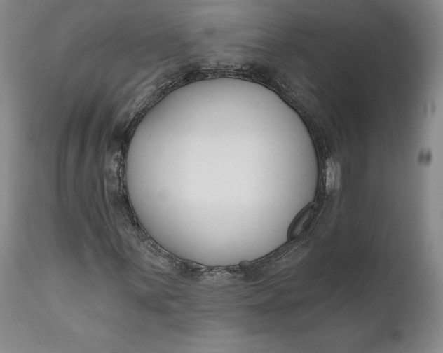 X0000110921059200907021454