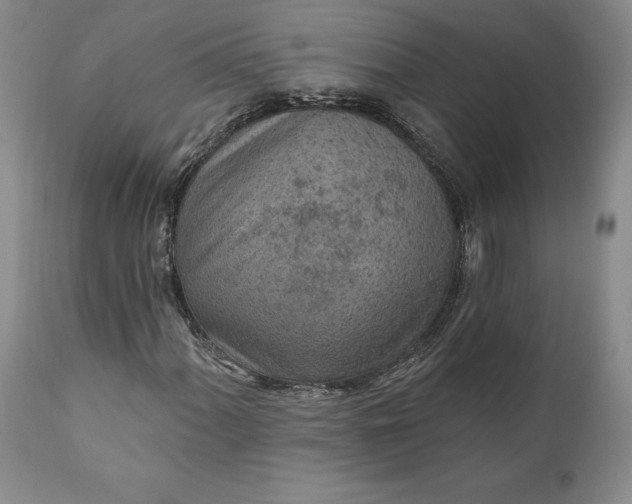 X0000110921060200907021454