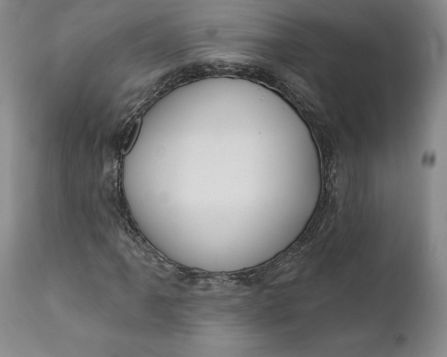X0000110921061200907021454
