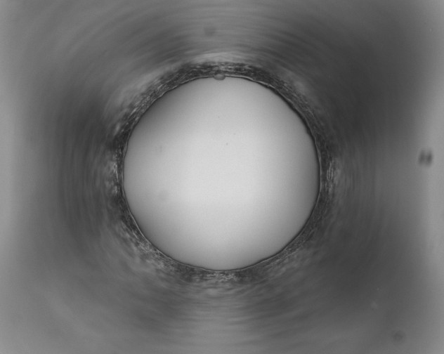 X0000110921062200907021454