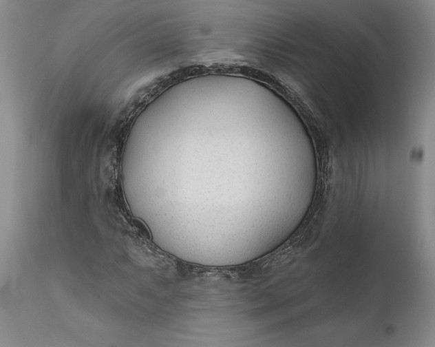 X0000110921063200907021454