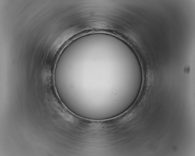 X0000110921065200907021453