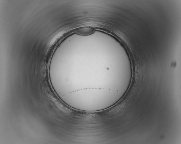 X0000110921067200907021453