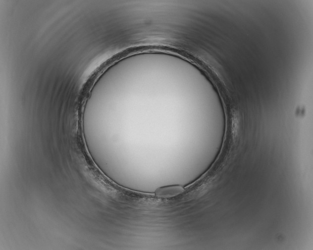X0000110921069200907021453