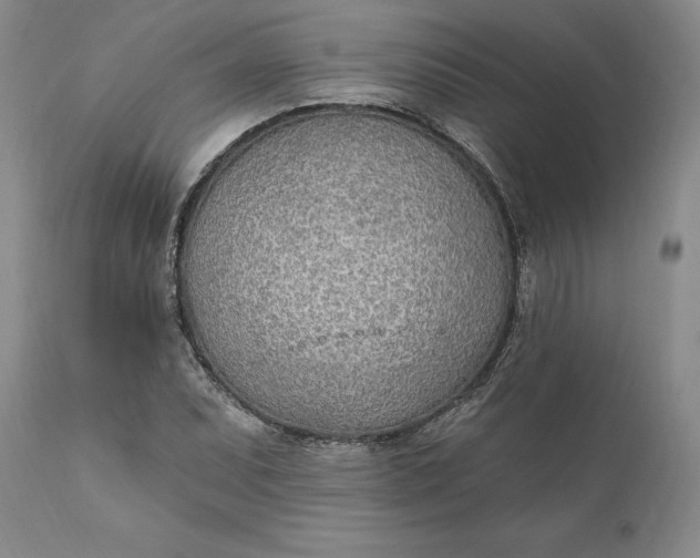 X0000110921071200907021453