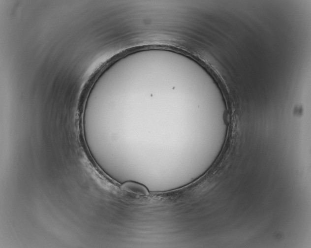 X0000110921072200907021453
