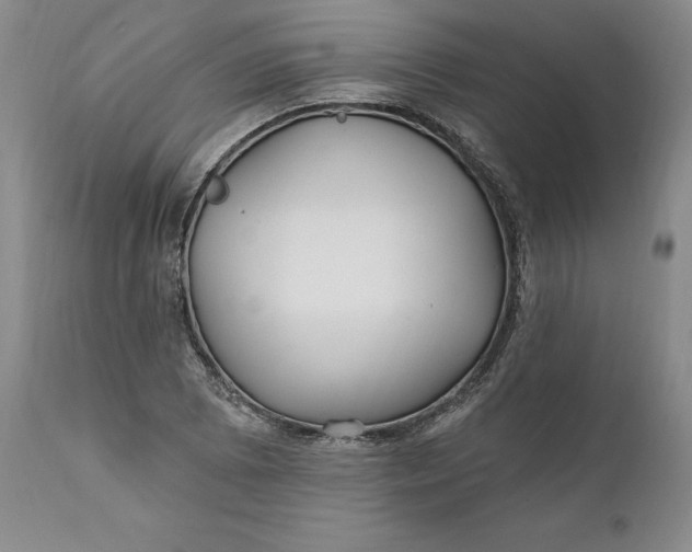X0000110921073200907021453
