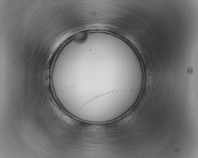X0000110921075200907021453