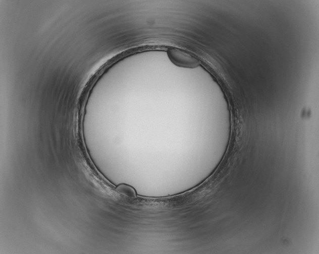 X0000110921076200907021453