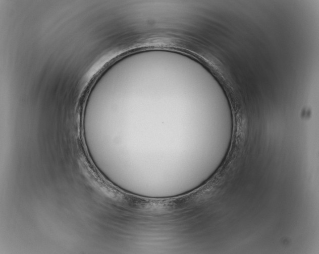 X0000110921078200907021453