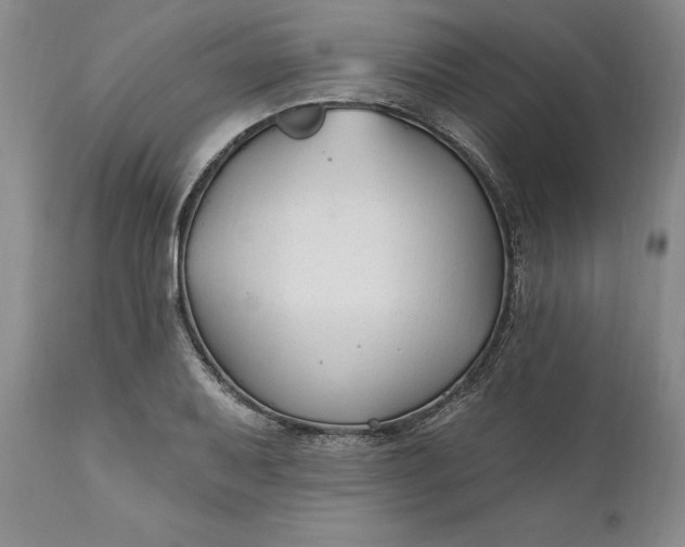 X0000110921079200907021453