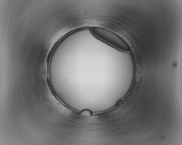 X0000110921080200907021453