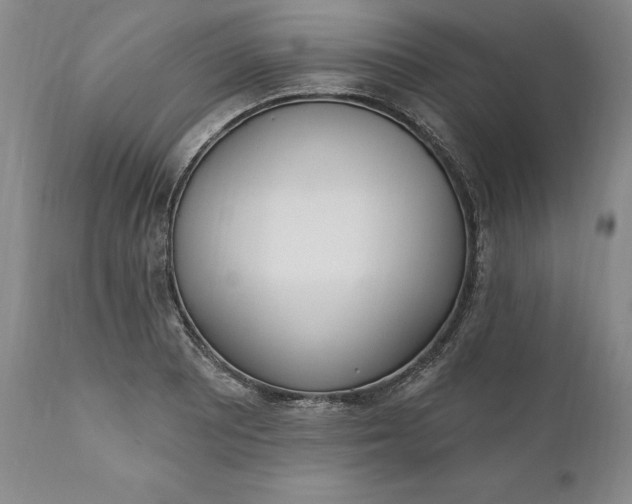 X0000110921081200907021453