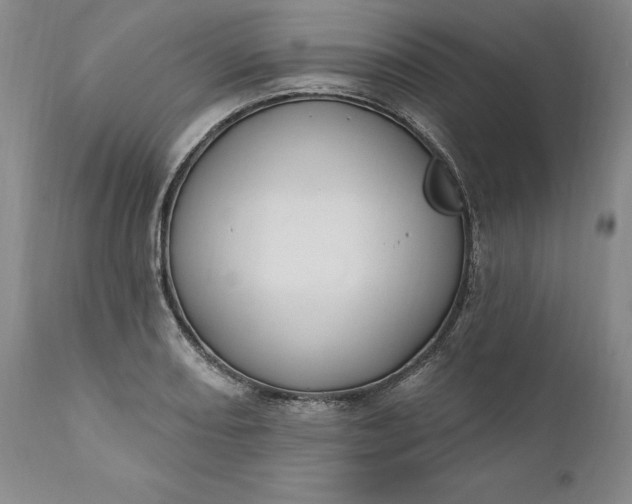 X0000110921082200907021453