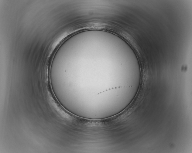 X0000110921083200907021453