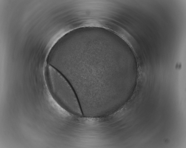 X0000110921084200907021453