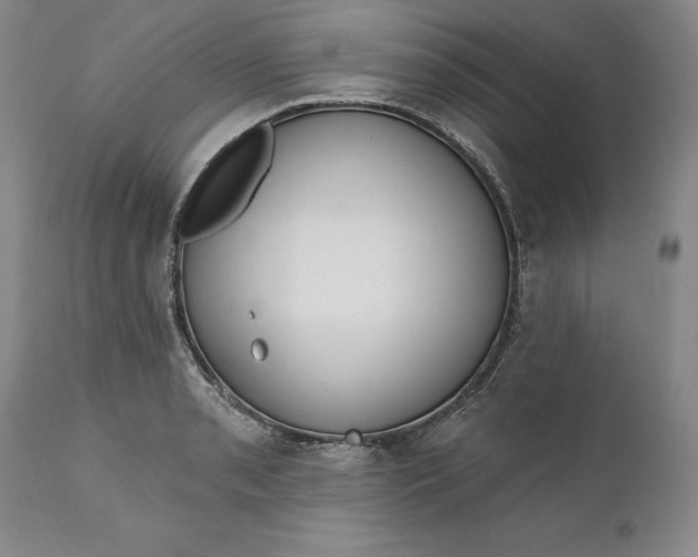 X0000110921085200907021453