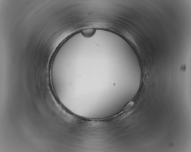 X0000110921087200907021453