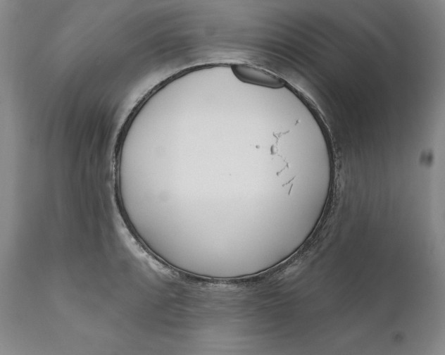 X0000110921088200907021453
