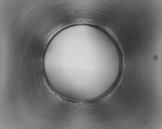 X0000110921089200907021453