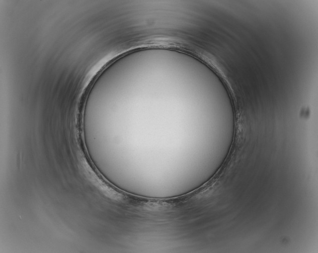 X0000110921091200907021453