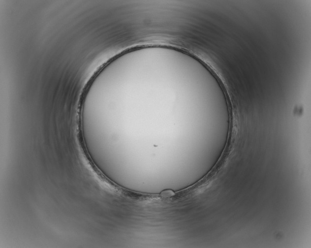 X0000110921093200907021453